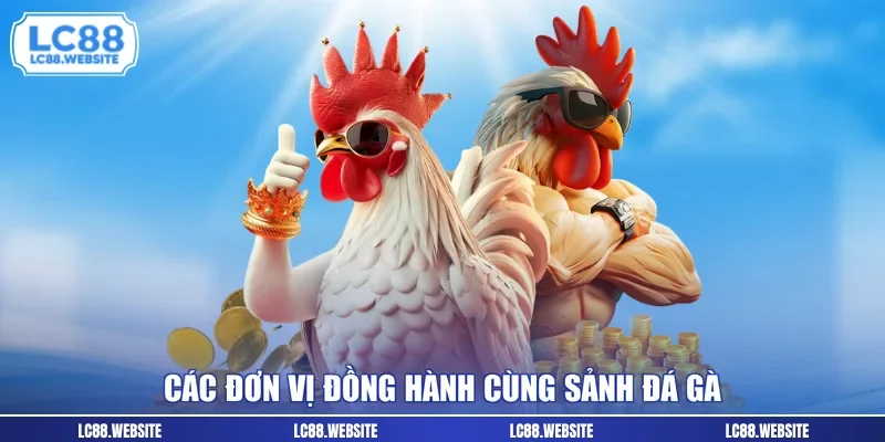 Các đơn vị đồng hành cùng sảnh đá gà