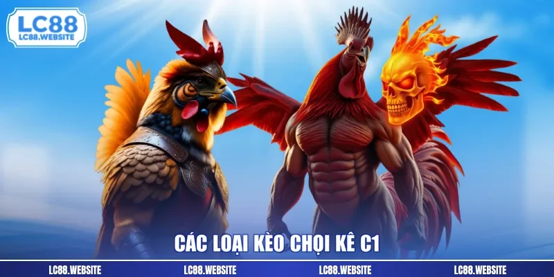 Các loại kèo chọi kê c1 