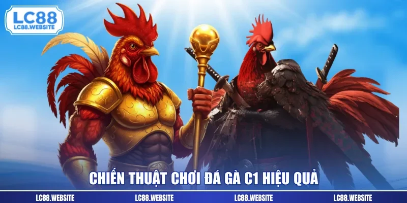 Chiến thuật chơi đá gà C1 hiệu quả 