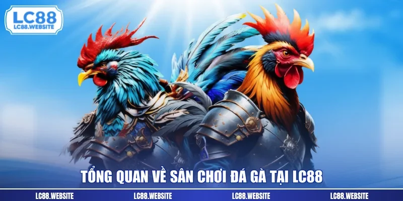 Tổng quan về sân chơi đá gà tại LC88